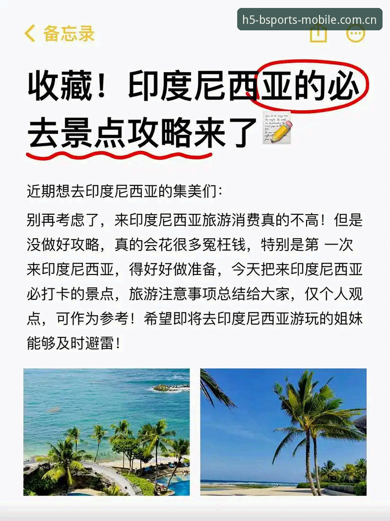 2024B体育app安卓版深度评测：从安装到日常使用，这份攻略给你答案