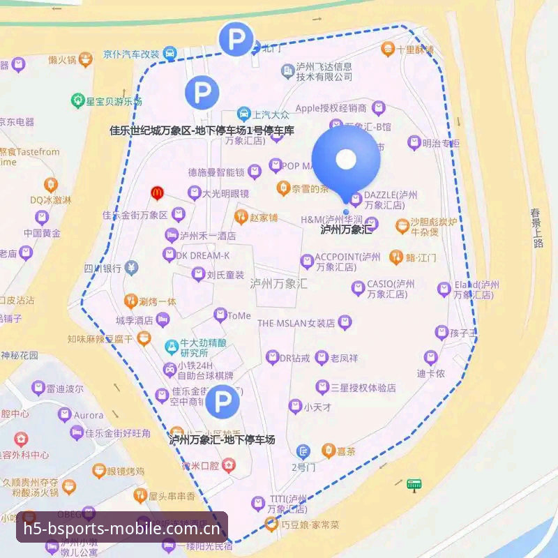 2024B体育app安卓版深度评测：从安装到日常使用，这份攻略给你答案